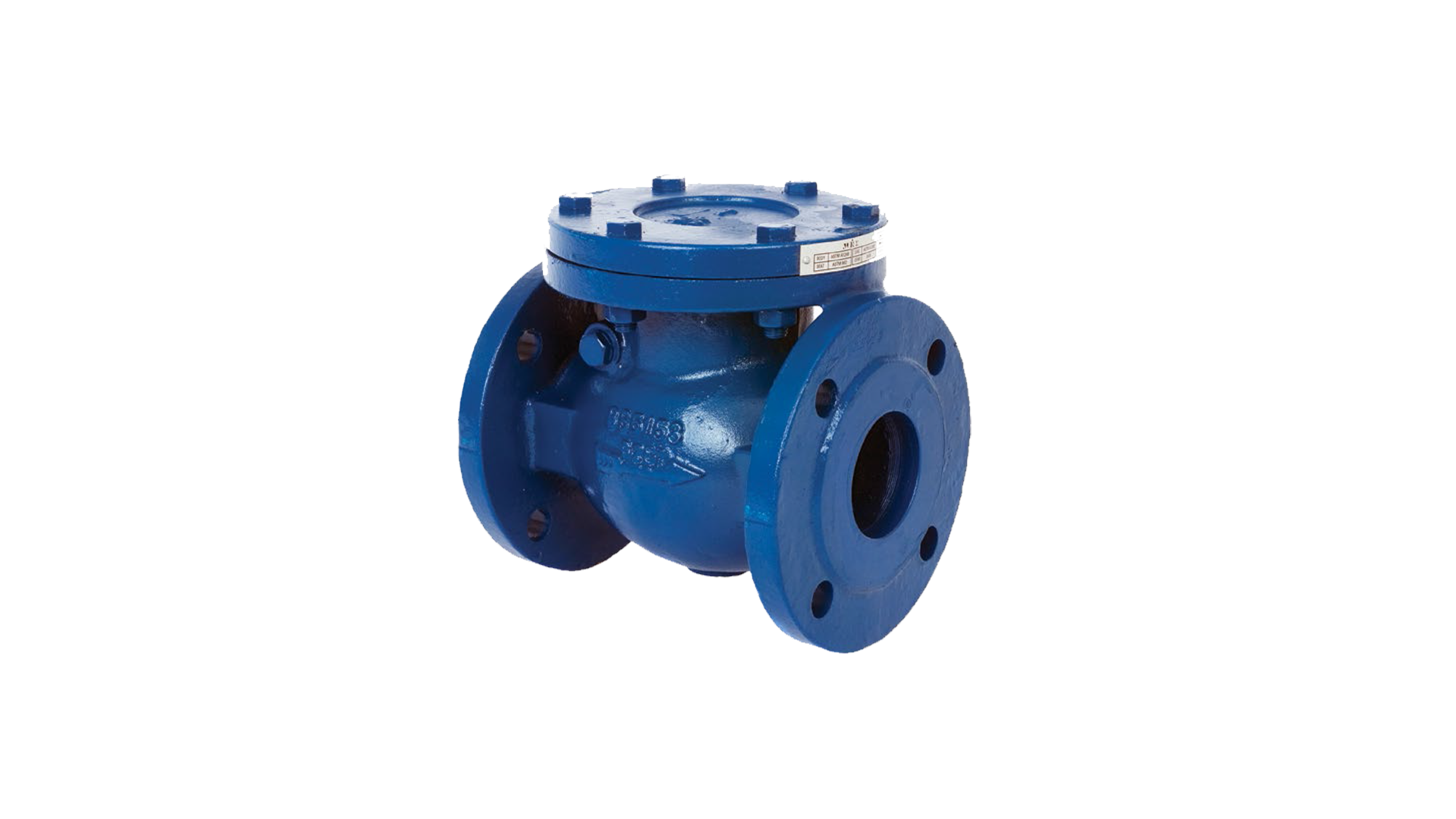 DIN 3232 Swing Check Valve F6