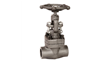 800 Lb Globe Valve