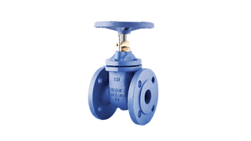 Din 3216 Gate Valve F4